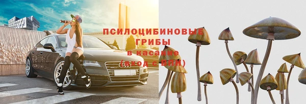 гидра Аркадак