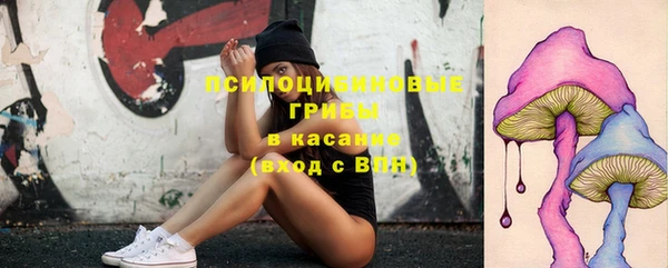 сатива Магас