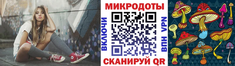 Псилоцибиновые грибы Cubensis  Алагир 